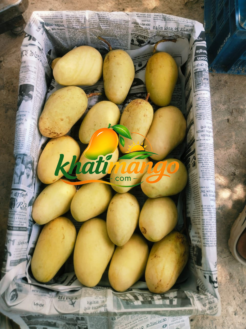 Sweet Katimon Mango 10 Kg Plactics Caret With Delivery