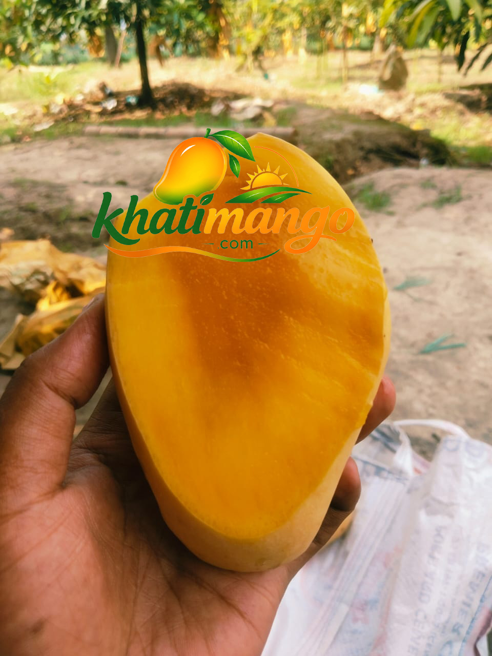 Sweet Katimon Mango 10 Kg Plactics Caret With Delivery